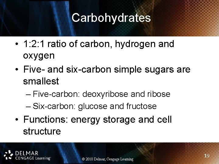 Carbohydrates • 1: 2: 1 ratio of carbon, hydrogen and oxygen • Five- and