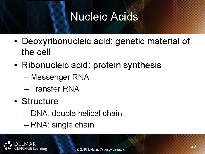 Nucleic Acids • Deoxyribonucleic acid: genetic material of the cell • Ribonucleic acid: protein