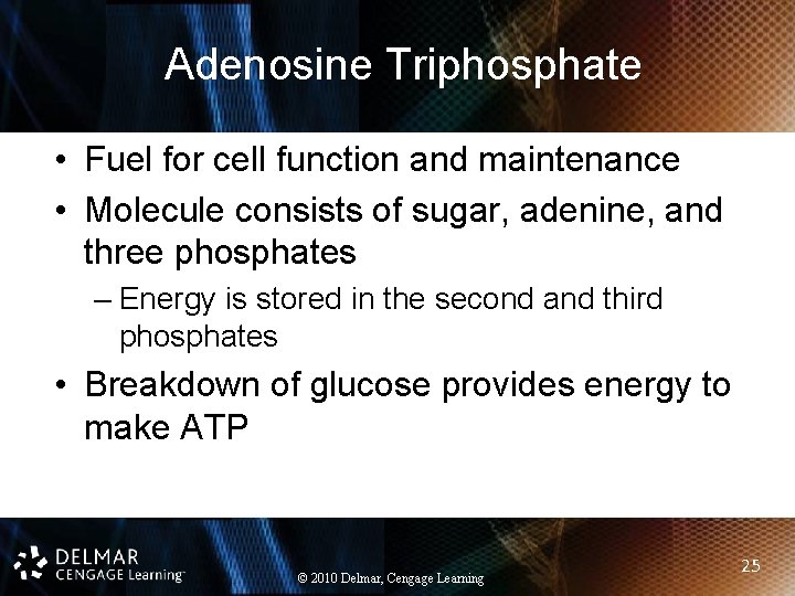 Adenosine Triphosphate • Fuel for cell function and maintenance • Molecule consists of sugar,