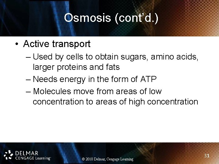 Osmosis (cont’d. ) • Active transport – Used by cells to obtain sugars, amino