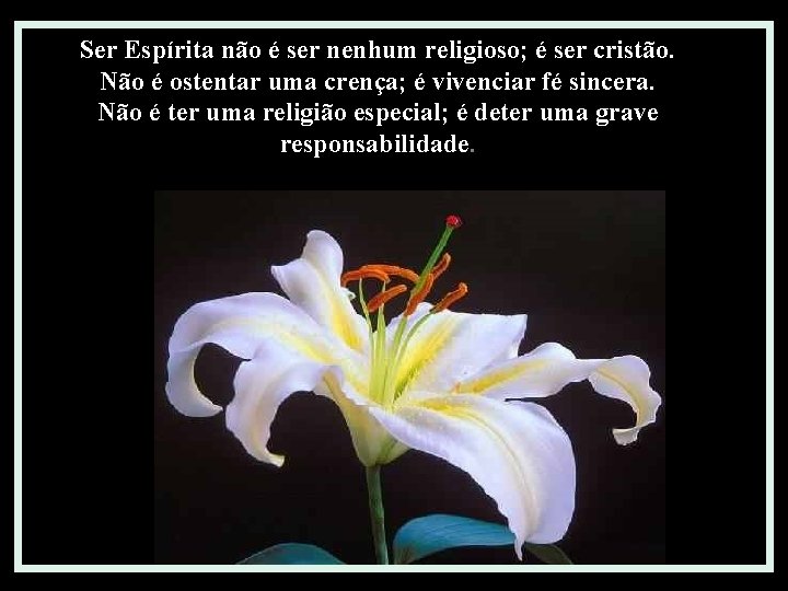 Ser Espírita não é ser nenhum religioso; é ser cristão. Não é ostentar uma