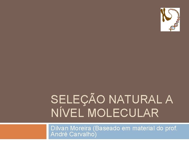 SELEÇÃO NATURAL A NÍVEL MOLECULAR Dilvan Moreira (Baseado em material do prof. André Carvalho)