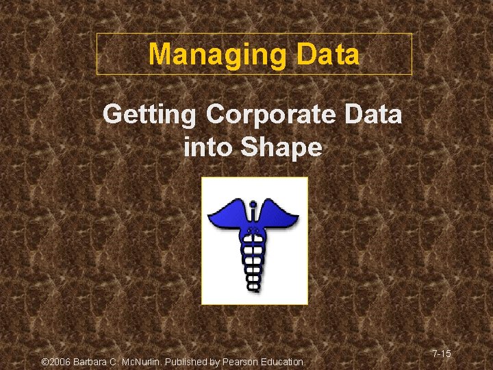 Managing Data Getting Corporate Data into Shape © 2006 Barbara C. Mc. Nurlin. Published Managing Data Getting Corporate Data into Shape © 2006 Barbara C. Mc. Nurlin. Published
