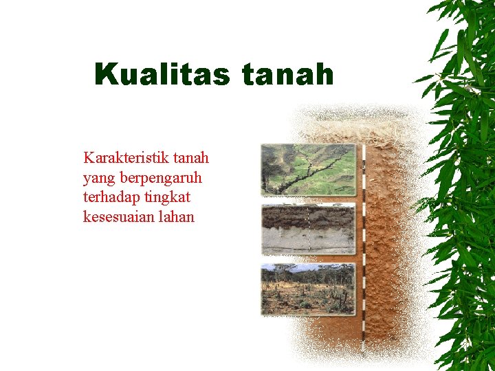 Kualitas tanah Karakteristik tanah yang berpengaruh terhadap tingkat kesesuaian lahan 