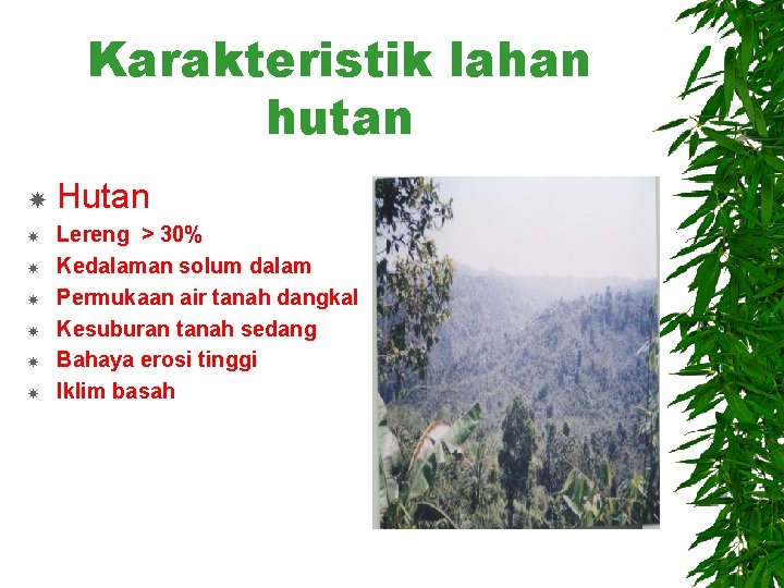 Karakteristik lahan hutan Hutan Lereng > 30% Kedalaman solum dalam Permukaan air tanah dangkal