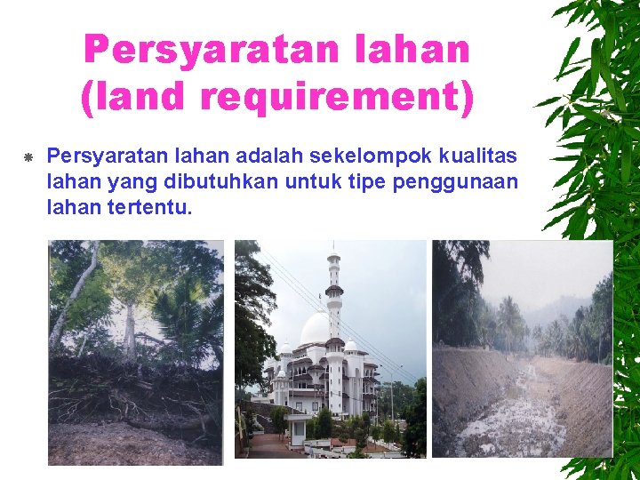 Persyaratan lahan (land requirement) Persyaratan lahan adalah sekelompok kualitas lahan yang dibutuhkan untuk tipe