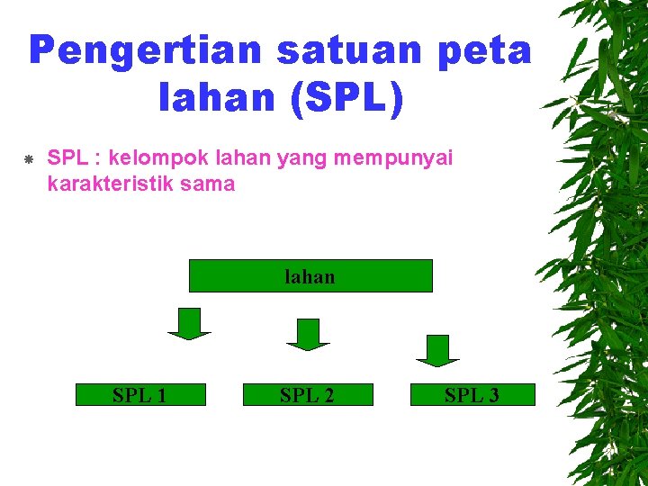 Pengertian satuan peta lahan (SPL) SPL : kelompok lahan yang mempunyai karakteristik sama lahan