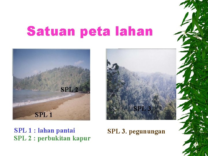 Satuan peta lahan SPL 2 SPL 1 : lahan pantai SPL 2 : perbukitan