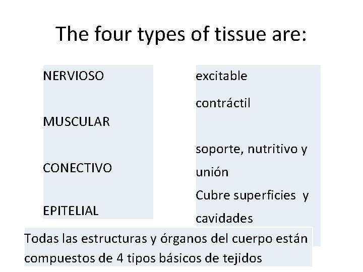 The four types of tissue are: NERVIOSO excitable contráctil MUSCULAR soporte, nutritivo y CONECTIVO