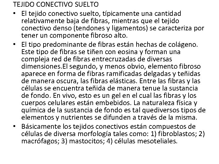 TEJIDO CONECTIVO SUELTO • El tejido conectivo suelto, típicamente una cantidad relativamente baja de