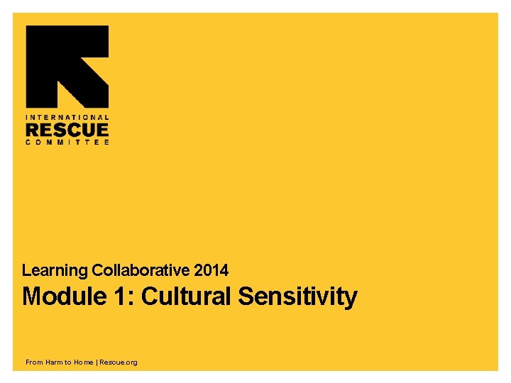 Learning Collaborative 2014 Module 1: Cultural Sensitivity From Harm to Home | Rescue. org