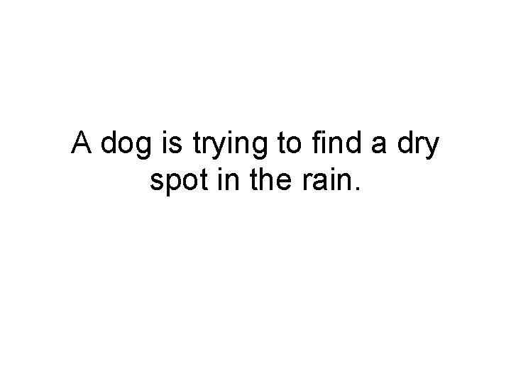 A dog is trying to find a dry spot in the rain. 