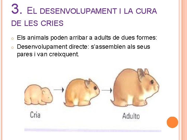 3. EL DESENVOLUPAMENT I LA CURA DE LES CRIES o o Els animals poden