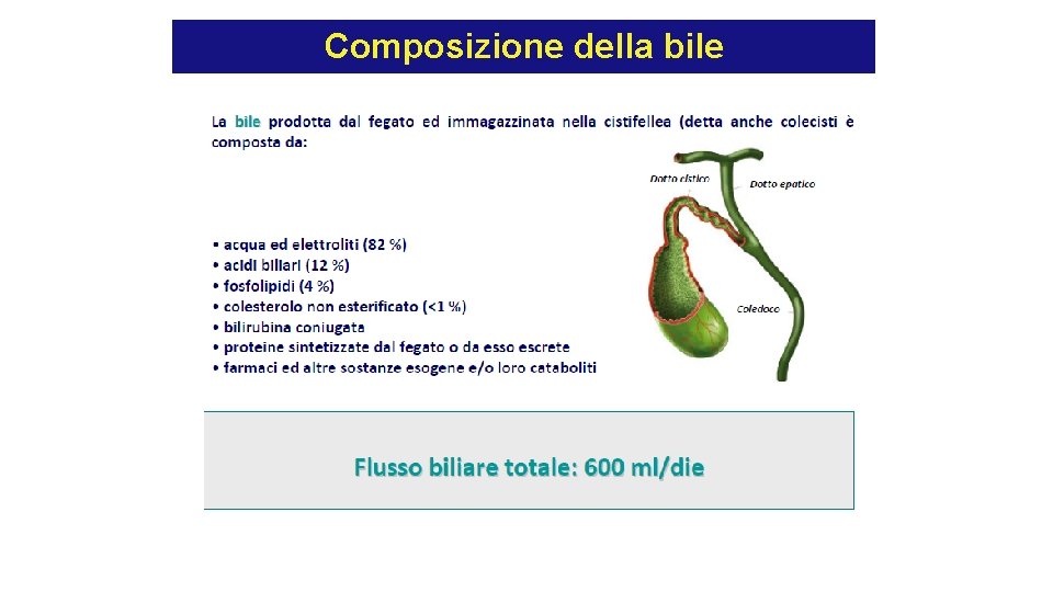 Composizione della bile Composizione della bile