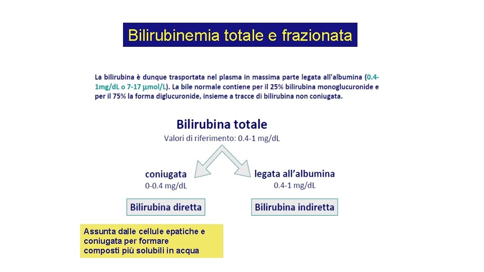 Bilirubinemia totale e frazionata Assunta dalle cellule epatiche e coniugata per formare composti più Bilirubinemia totale e frazionata Assunta dalle cellule epatiche e coniugata per formare composti più
