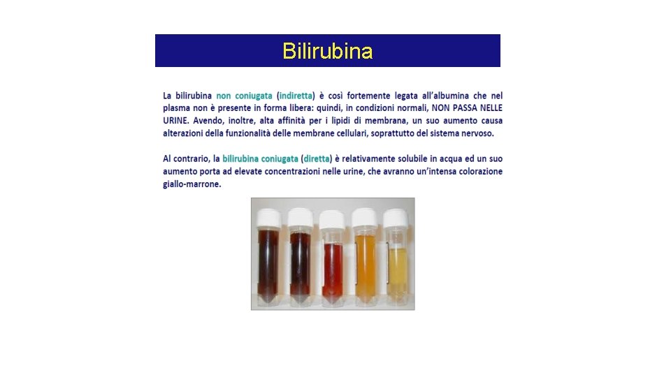 Bilirubina Bilirubina