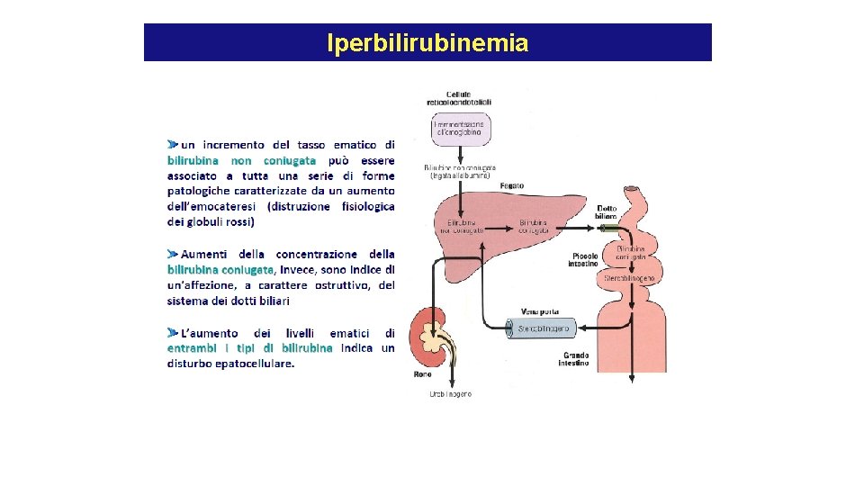 Iperbilirubinemia Iperbilirubinemia