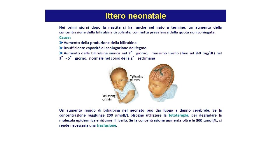 Ittero neonatale Ittero neonatale