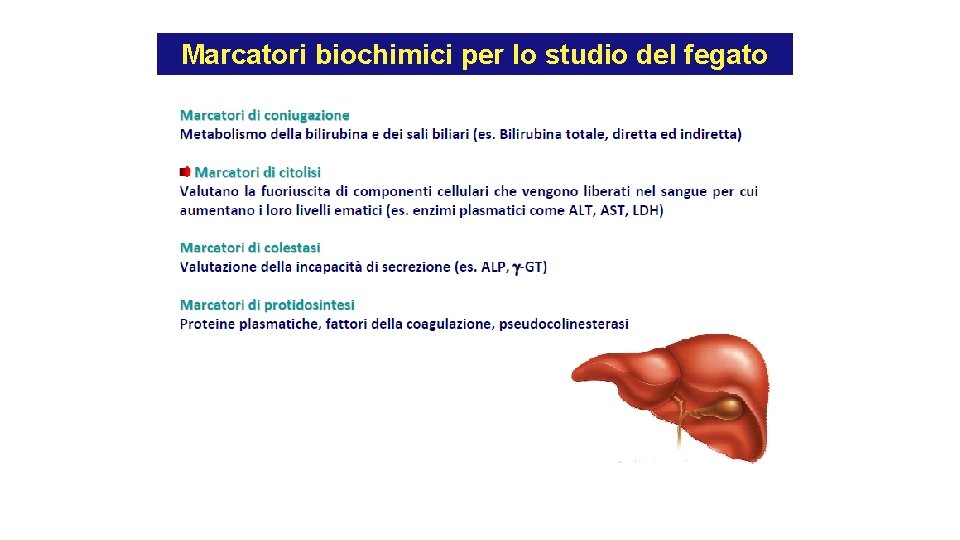 Marcatori biochimici per lo studio del fegato Marcatori biochimici per lo studio del fegato
