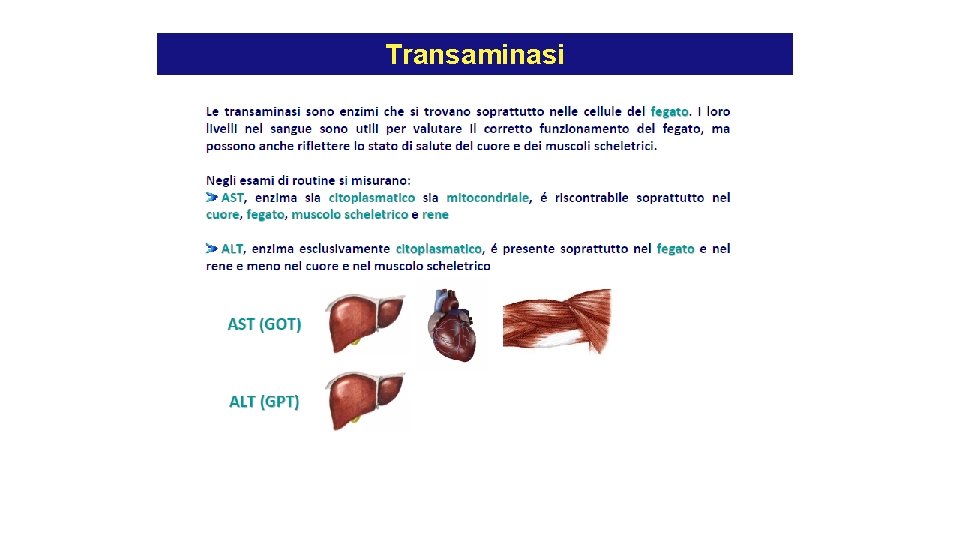 Transaminasi Transaminasi