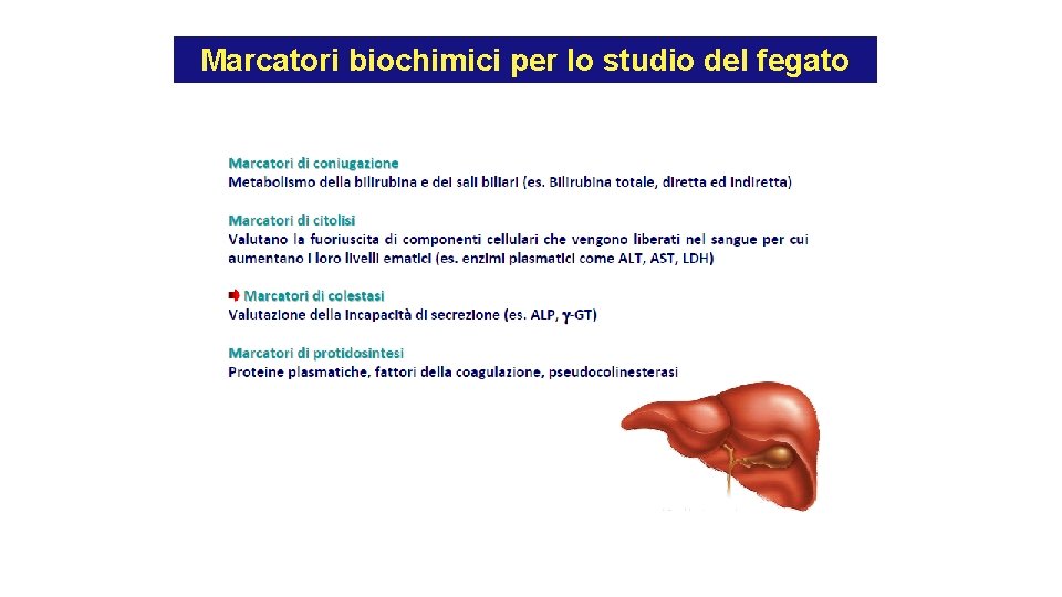 Marcatori biochimici per lo studio del fegato Marcatori biochimici per lo studio del fegato