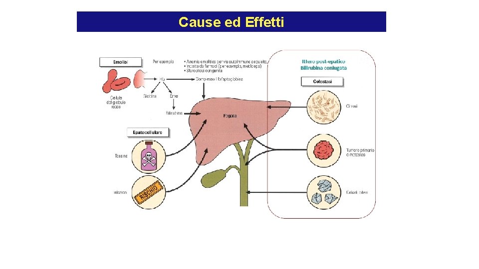 Cause ed Effetti Cause ed Effetti