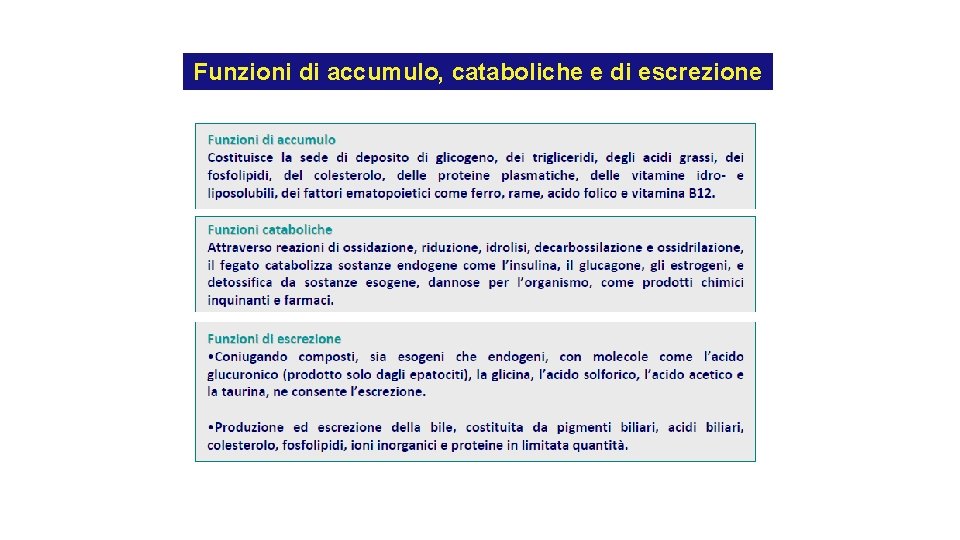 Funzioni di accumulo, cataboliche e di escrezione Funzioni di accumulo, cataboliche e di escrezione