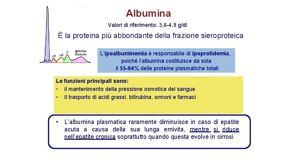 Albumina Valori di riferimento: 3, 6 -4, 9 g/dl È la proteina più abbondante Albumina Valori di riferimento: 3, 6 -4, 9 g/dl È la proteina più abbondante