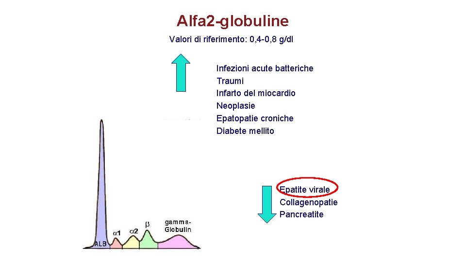 Alfa 2 -globuline Valori di riferimento: 0, 4 -0, 8 g/dl Infezioni acute batteriche Alfa 2 -globuline Valori di riferimento: 0, 4 -0, 8 g/dl Infezioni acute batteriche