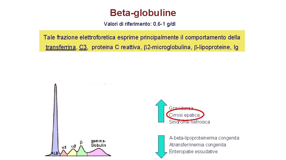 Beta-globuline Valori di riferimento: 0, 6 -1 g/dl Tale frazione elettroforetica esprime principalmente il Beta-globuline Valori di riferimento: 0, 6 -1 g/dl Tale frazione elettroforetica esprime principalmente il