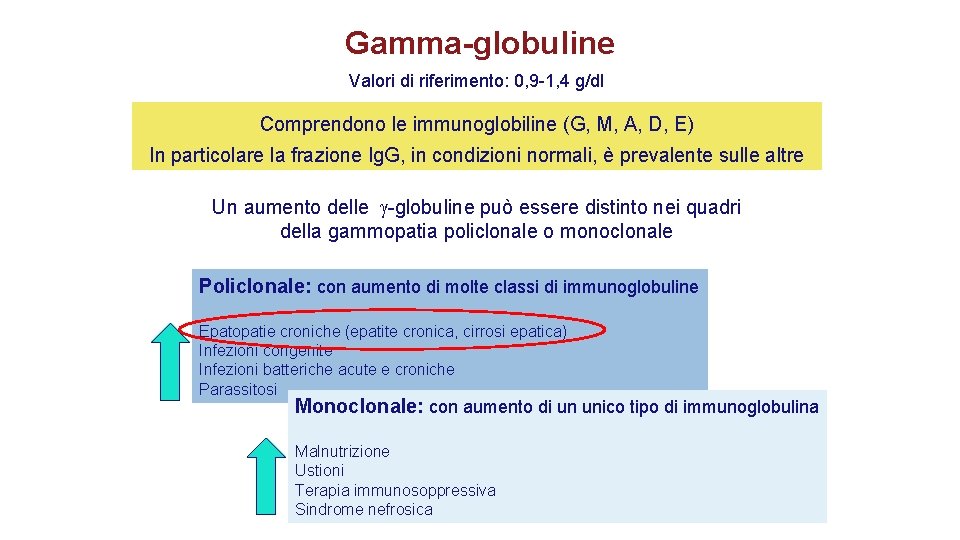 Gamma-globuline Valori di riferimento: 0, 9 -1, 4 g/dl Comprendono le immunoglobiline (G, M, Gamma-globuline Valori di riferimento: 0, 9 -1, 4 g/dl Comprendono le immunoglobiline (G, M,