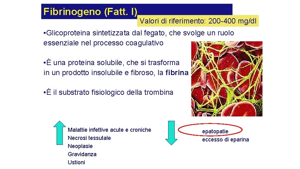 Fibrinogeno (Fatt. I) Valori di riferimento: 200 -400 mg/dl • Glicoproteina sintetizzata dal fegato, Fibrinogeno (Fatt. I) Valori di riferimento: 200 -400 mg/dl • Glicoproteina sintetizzata dal fegato,