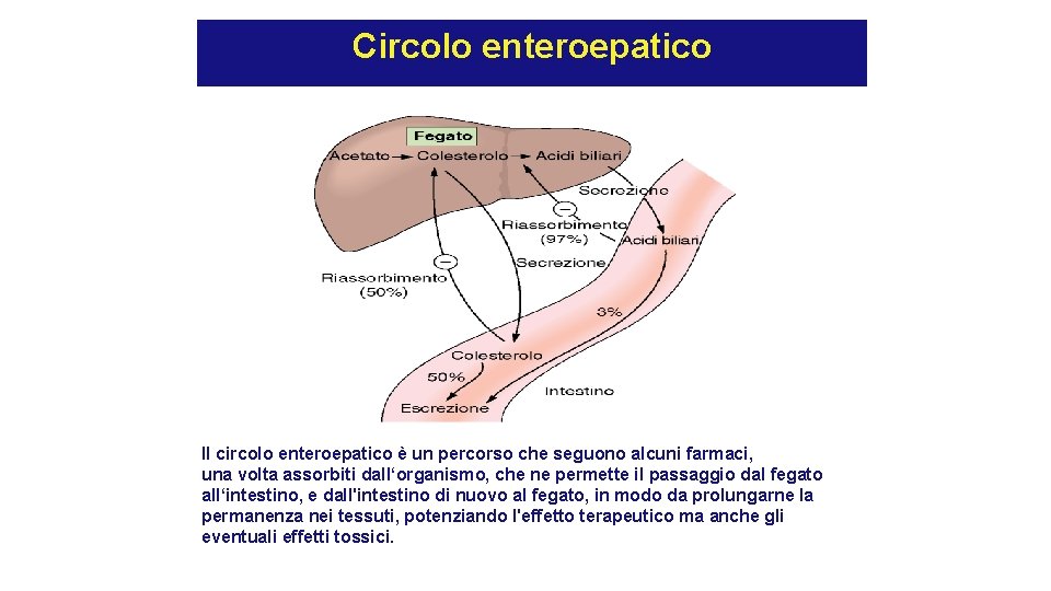 Circolo enteroepatico Il circolo enteroepatico è un percorso che seguono alcuni farmaci, una volta Circolo enteroepatico Il circolo enteroepatico è un percorso che seguono alcuni farmaci, una volta