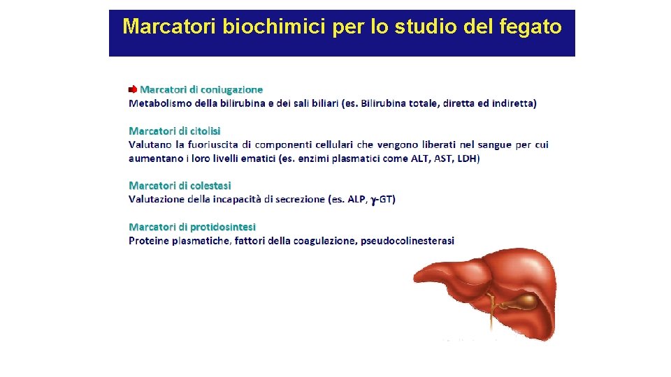 Marcatori biochimici per lo studio del fegato Marcatori biochimici per lo studio del fegato