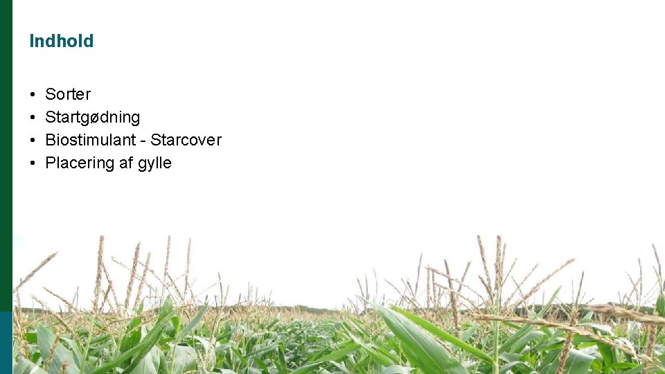 Indhold • • Sorter Startgødning Biostimulant - Starcover Placering af gylle 