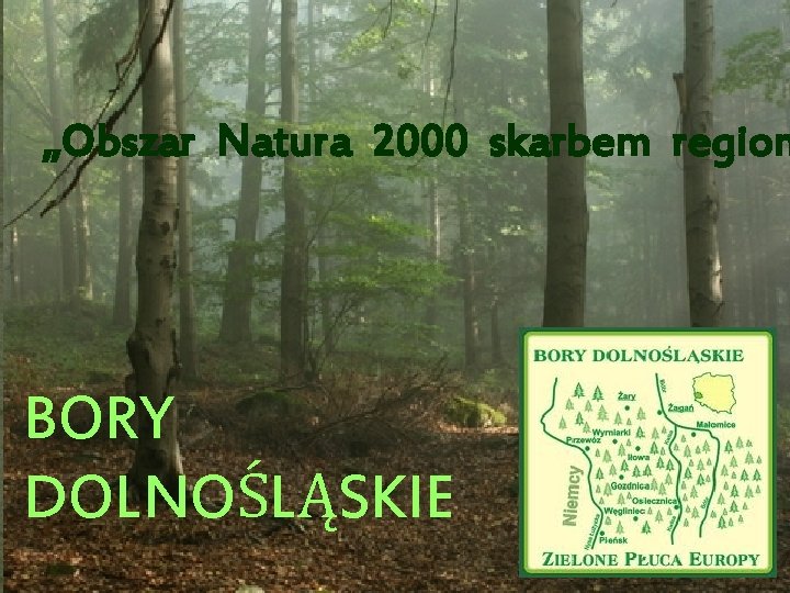 „Obszar Natura 2000 skarbem regionu „Obszar Natura 2000 skarbem region BORY DOLNOŚLĄSKIE 