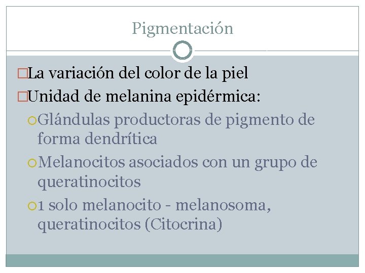 Pigmentación �La variación del color de la piel �Unidad de melanina epidérmica: Glándulas productoras