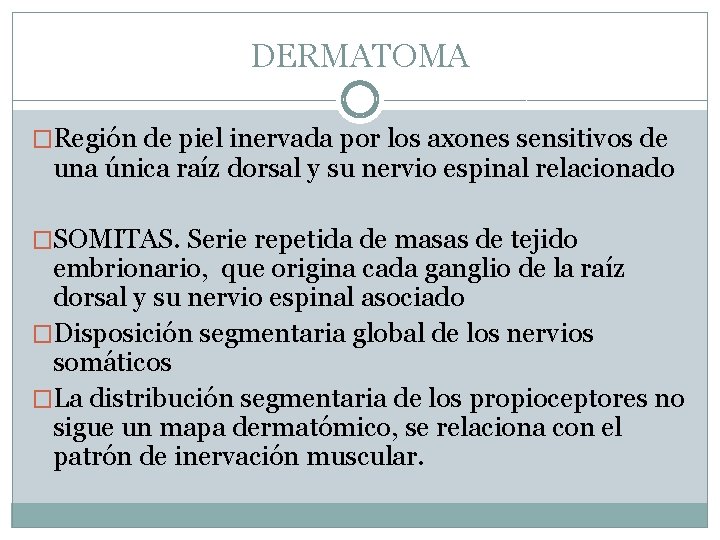 DERMATOMA �Región de piel inervada por los axones sensitivos de una única raíz dorsal