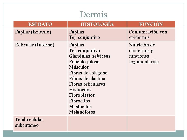 Dermis ESTRATO HISTOLOGÍA FUNCIÓN Papilar (Externo) Papilas Tej. conjuntivo Comunicación con epidermis Reticular (Interno)