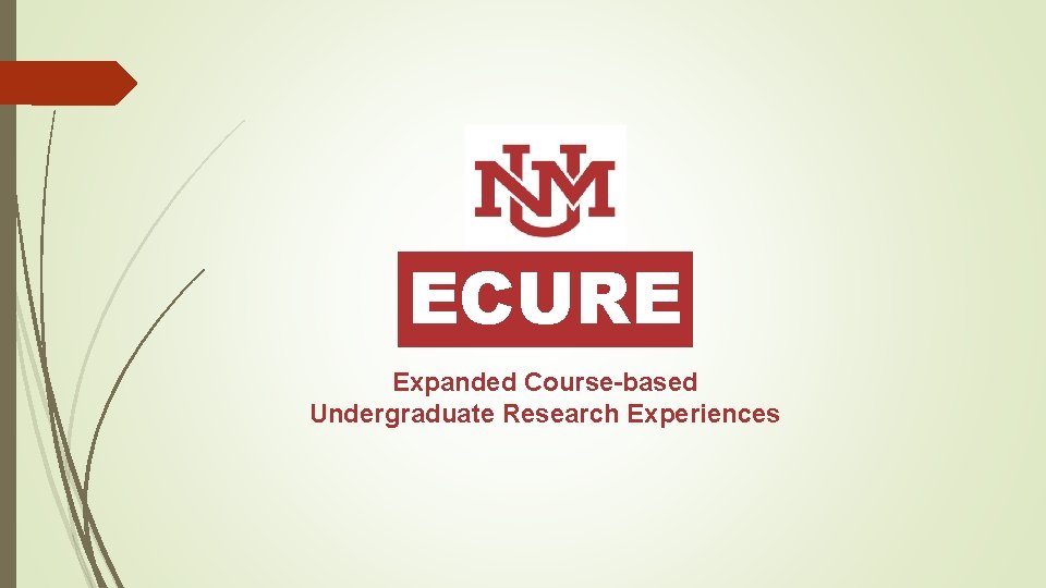 ECURE Expanded Course-based Undergraduate Research Experiences 