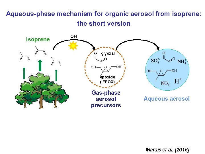 Aqueous-phase mechanism for organic aerosol from isoprene: the short version isoprene OH glyoxal epoxide Aqueous-phase mechanism for organic aerosol from isoprene: the short version isoprene OH glyoxal epoxide