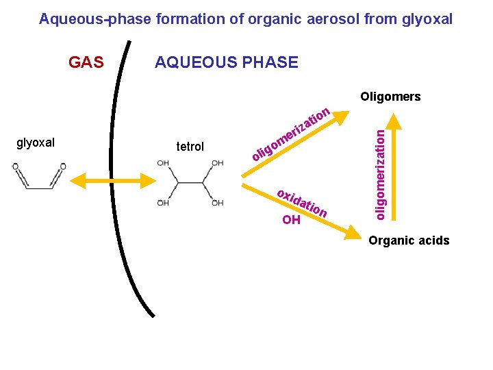 Aqueous-phase formation of organic aerosol from glyoxal GAS AQUEOUS PHASE Oligomers glyoxal tetrol o Aqueous-phase formation of organic aerosol from glyoxal GAS AQUEOUS PHASE Oligomers glyoxal tetrol o
