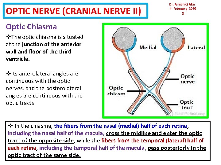 OPTIC NERVE (CRANIAL NERVE II) Dr. Aiman Q Afar 4 February 2020 3 Optic