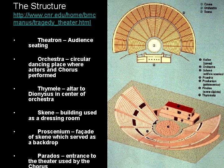 The Structure http: //www. cnr. edu/home/bmc manus/tragedy_theater. html • Theatron – Audience seating •