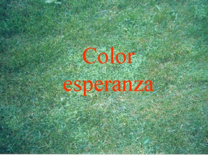 Color esperanza 