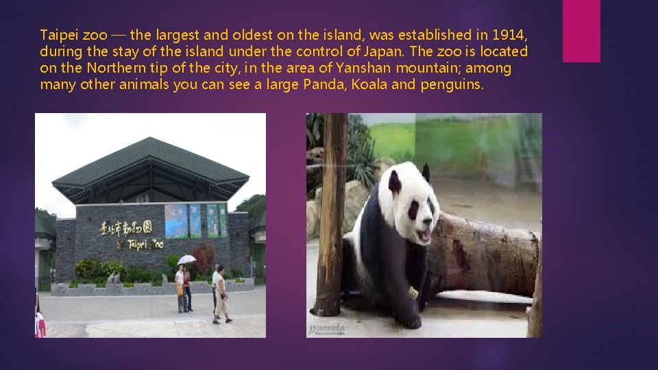 Taipei zoo — the largest and oldest on the island, was established in 1914,