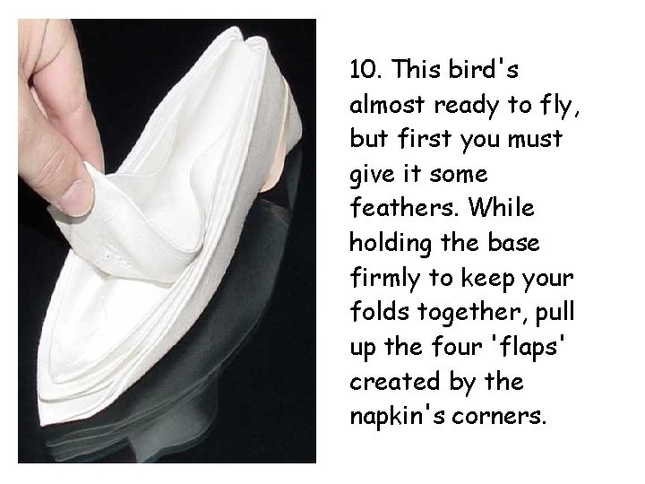 10. This bird's almost ready to fly, but first you must give it some