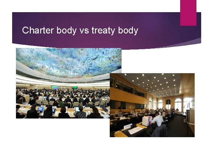 Charter body vs treaty body 
