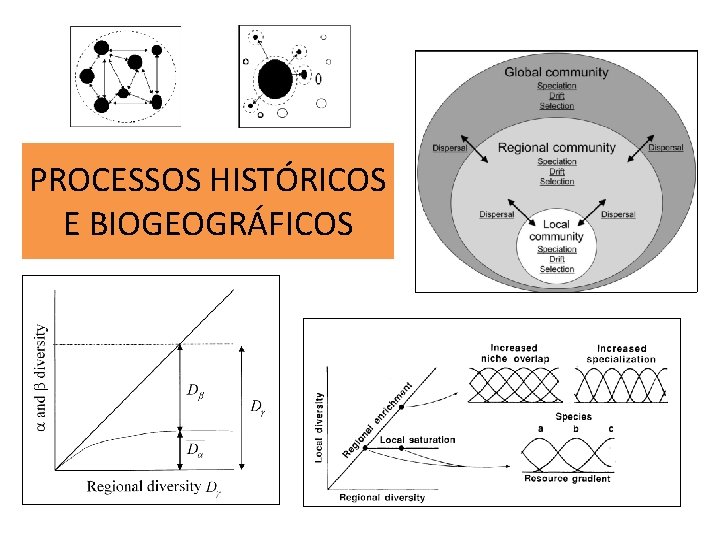 PROCESSOS HISTÓRICOS E BIOGEOGRÁFICOS 