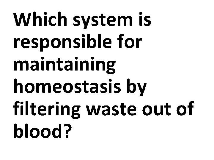 Which system is responsible for maintaining homeostasis by filtering waste out of blood? 